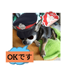 Smile_20230726161723