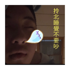 我家的小豬豬