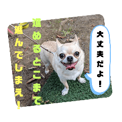 puku_20230726185335