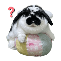suzu_20230726185508