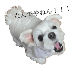 tomomi_20230726200901