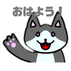 Aoi_20230726202003