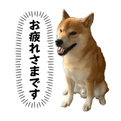 sugacchi_20230726202930