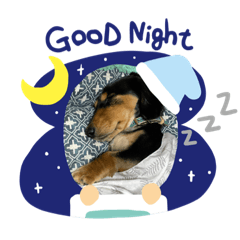 四眼臘腸DIDI日常表情包