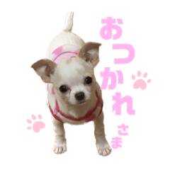 kana_20230726225001