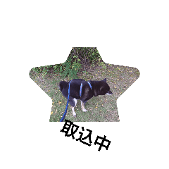 kuma_20230727094758