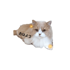 yuka_20230727133642