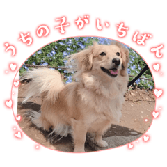 saori_20230727135646