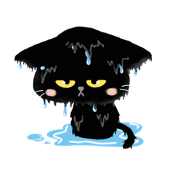 สมรแมวดำ