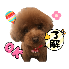suzu_20230727023235