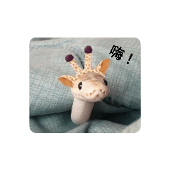 Sunny的可愛小蛇