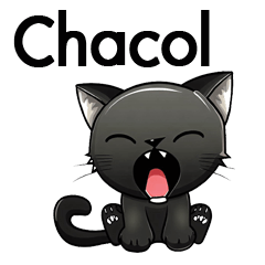 Chacol the black cat