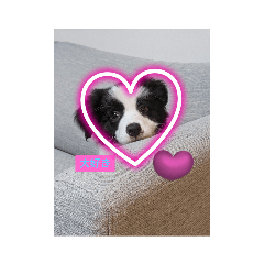 kosuke_20230727084724