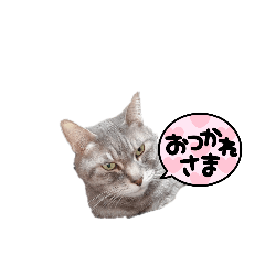 nao_20230727101450