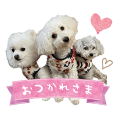 Three dogs story