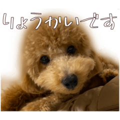 yell stamp