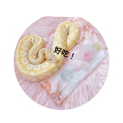 Sunny的可愛小蛇（2）