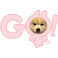 y_20230727183820