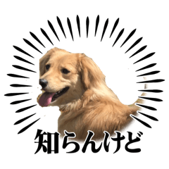 saori_20230727173028