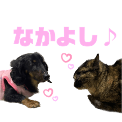 kana_20230727185723