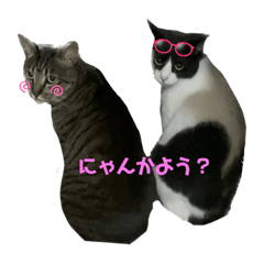 hana_20230727224924