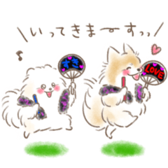 Pomeranian Eight and Konatsu