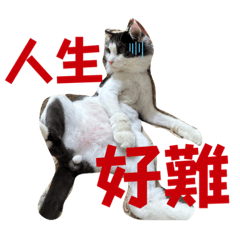 拿伊球（1）