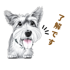 シュナウザー　楽のスタンプ