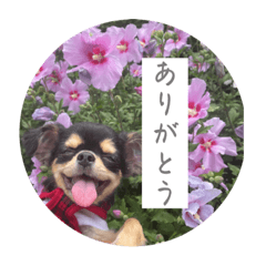 Natsumi_20230727192305