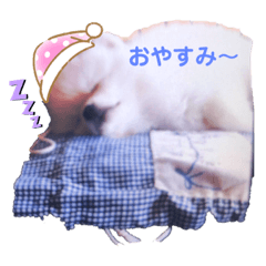 NAO_20230728084920