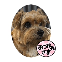 suzu_20230728090512