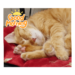 Atora_20230728082459