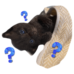 Ramuchu_20230728093021