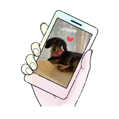 うちのメールちゃん！