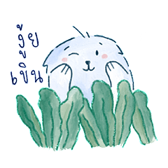 Mumima likes to eat seaweed