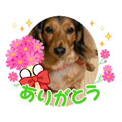 sayuri_20230728101731