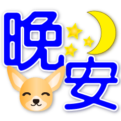 Cute chihuahua-practical phrases