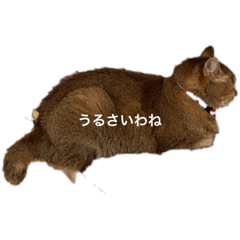 aoi_20230727235525
