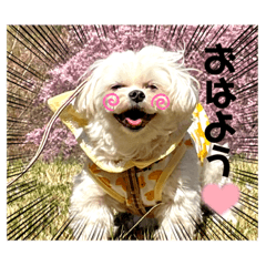 riri_20230728111246