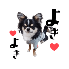 omochi_20230728144526