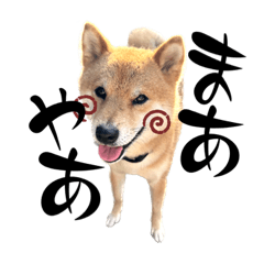 saori_20230728172808