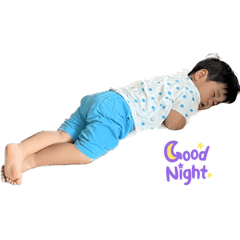 sakura_20230728200054