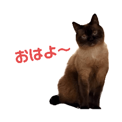 arisa_20230729042931