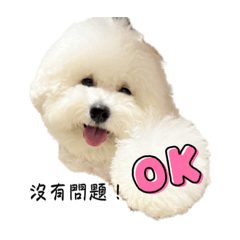 我是翁阿比Part1