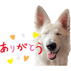 aoi_20230728150509