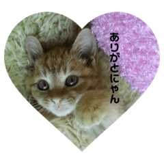 Kaede_20230728212350