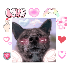 tsubaki_20230728224155