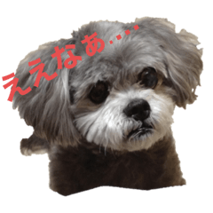 JUNKO_1669