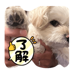kana_20230729135104