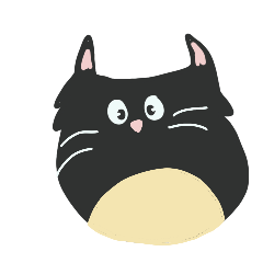 maow black cat